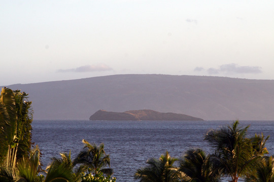 40a