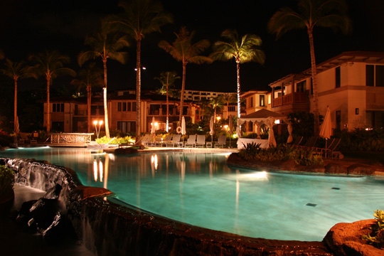 41