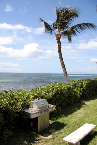 Lauloa38