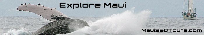 Maui360Tours.com  Banner