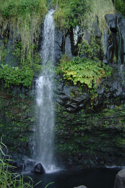 maui_waterfall2