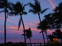 lifeguard_sunrise
