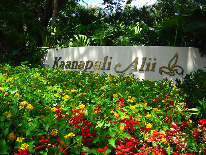 KaanapaliAliiMauiPhotoGallery_00