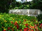 KaanapaliAliiMauiPhotoGallery_00