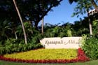 KaanapaliAliiMauiPhotoGallery_11