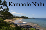 Kamaole Nalu