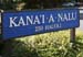 kanaianalu31