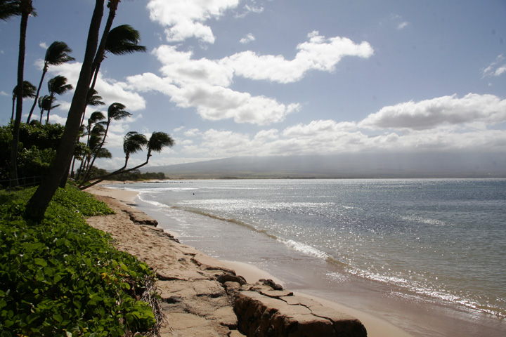 kanaianalu32
