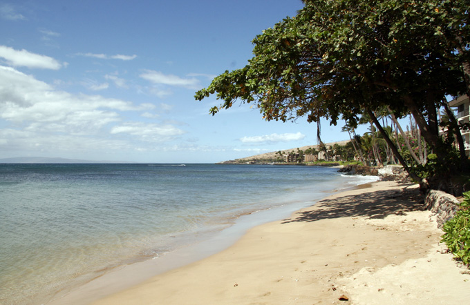 kanaianalu32a
