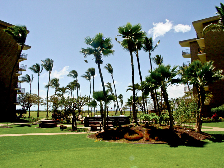 KauhaleMakai429_041