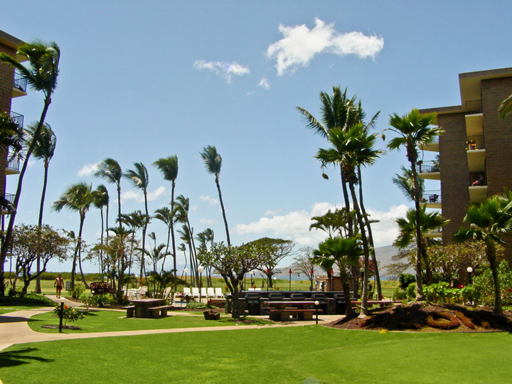 KauhaleMakai429_042
