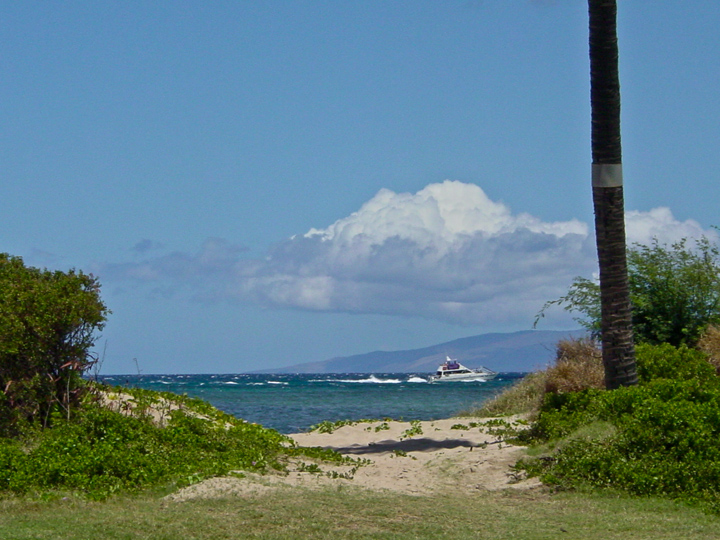 KauhaleMakai429_051