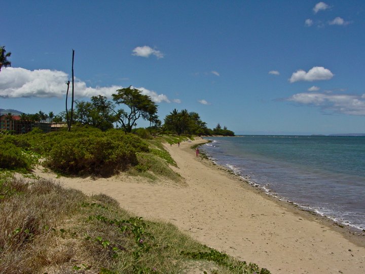 KauhaleMakai429_052