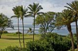 KauhaleMakai429_001