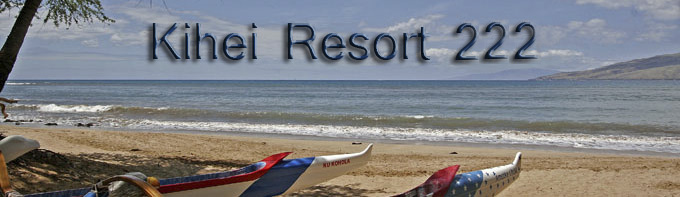 maui360tours.com banner