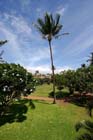 KoaResort4i_00