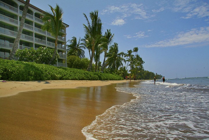LahainaShores433_036