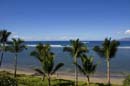 LahainaShores433_001