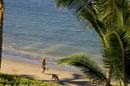 LahainaShores433_007
