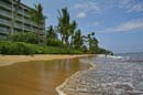 LahainaShores433_036