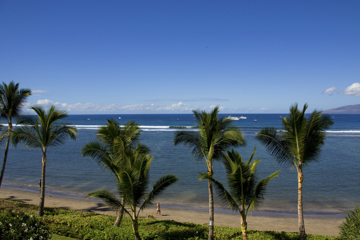 LahainaShores433_01