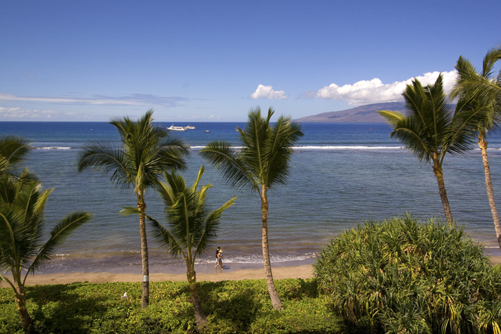 LahainaShores433_02