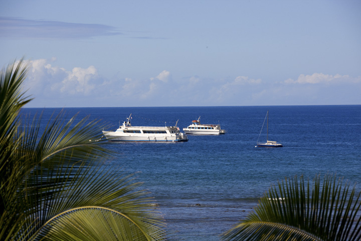 LahainaShores433_03