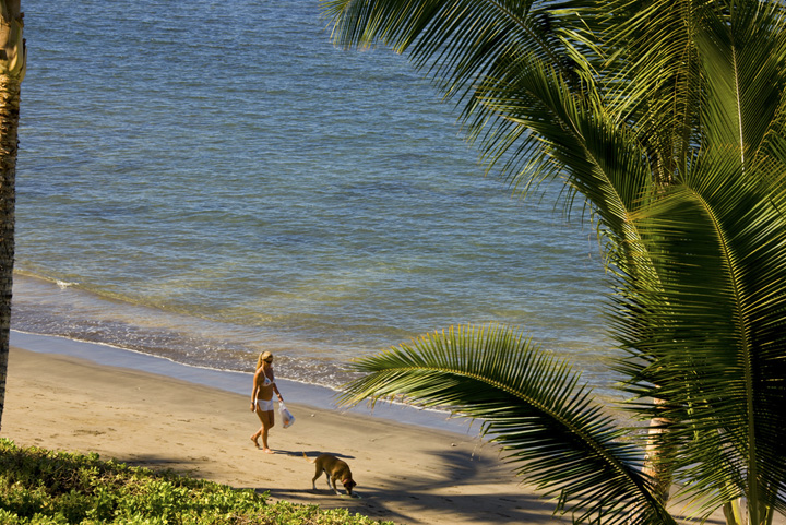 LahainaShores433_07