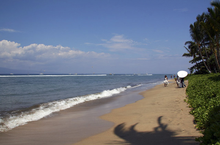 LahainaShores433_44