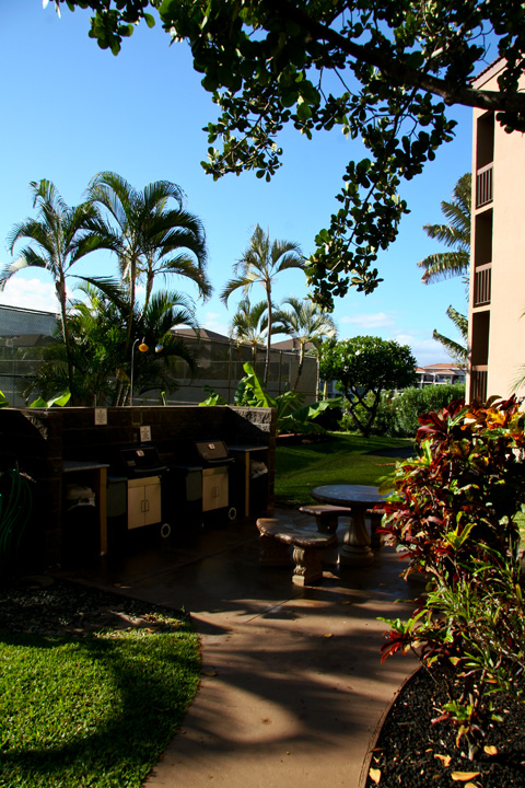 MauiVista3315_30