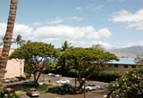 MauiVista3315_00