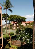 MauiVista3315_01