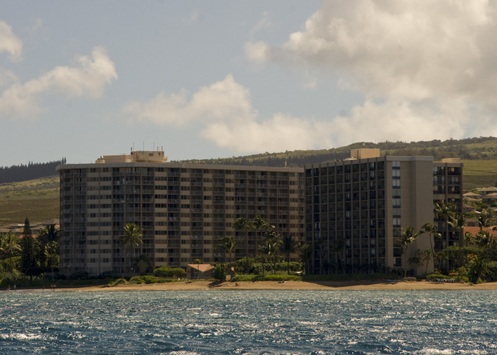 RoyalKahana_31