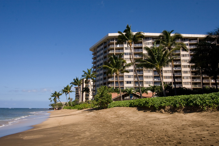 RoyalKahana_33