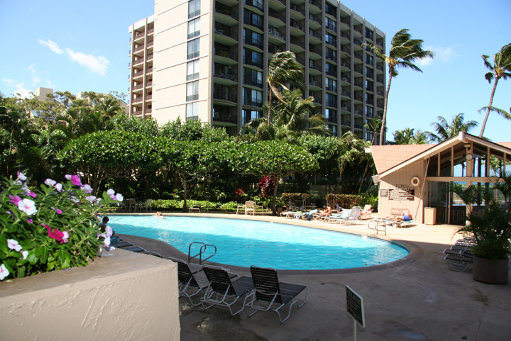 RoyalKahana_35