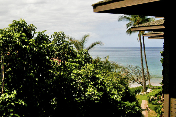 HaleHuiKai302_000