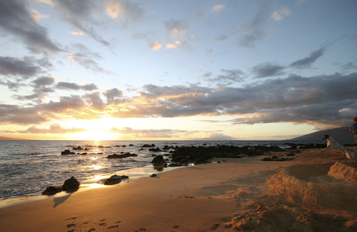 HaleHuiKai302_030