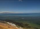 mauikai504_001