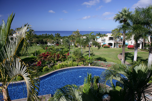 ThePalms15