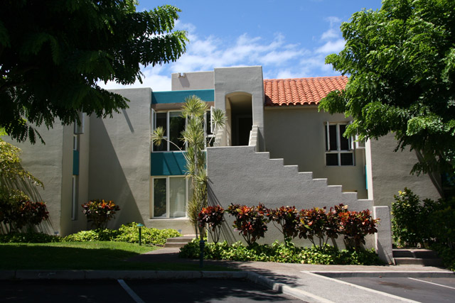 ThePalms34