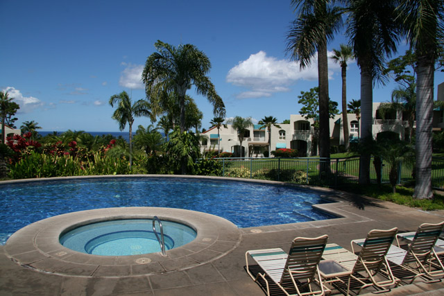 ThePalms35