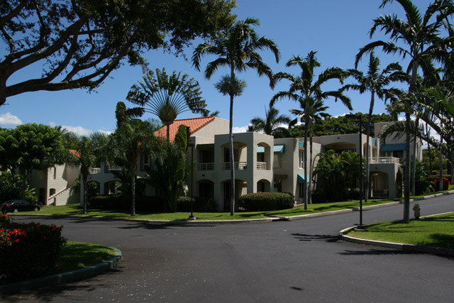 ThePalms36