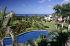ThePalms15