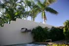 ThePalms31