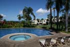 ThePalms35