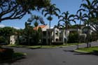 ThePalms36