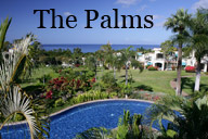 The Palms at Wailea