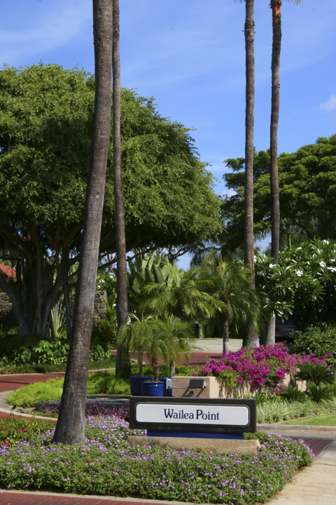 WaileaPoint_45